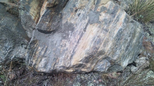 Гигантские зелёные валуны для ландшафтного дизайна весом более 5 тонн купить в Петропавловске-Камчатском